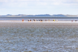 Blick von Föhr auf Amrum 1 - etwa 4 km